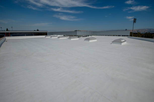 Professional Roofing Service in Silver Firs, WA