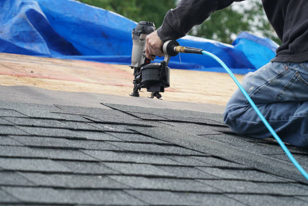 Best Roof Moss and Algae Removal  in Silver Firs, WA