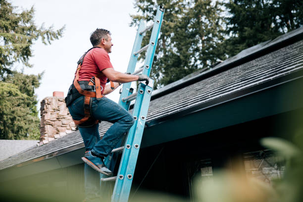 Best Roof Moss and Algae Removal  in Silver Firs, WA